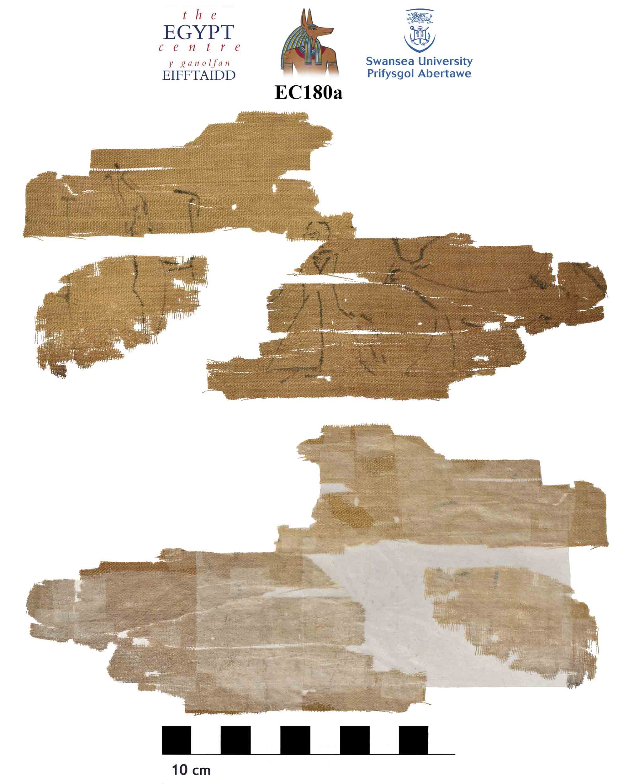 Image for: Fragmentary mummy bandage
